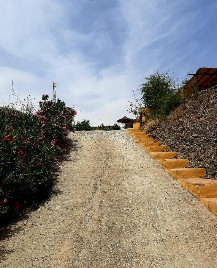Country house Cortijo Montes With Private Pool *