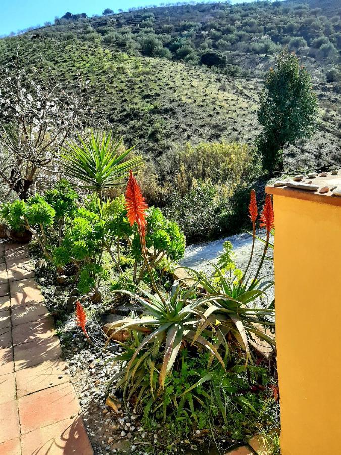 Country house Cortijo Montes With Private Pool *