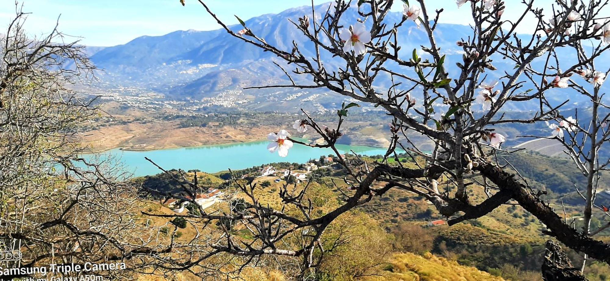 Cortijo Montes With Private Pool Vinuela