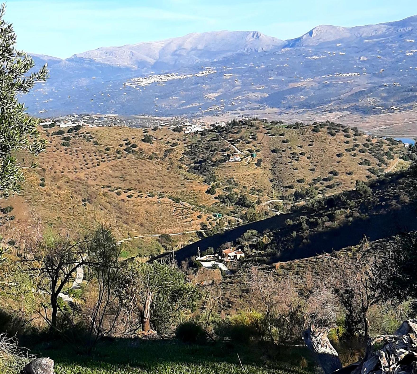 Cortijo Montes With Private Pool Country house Vinuela